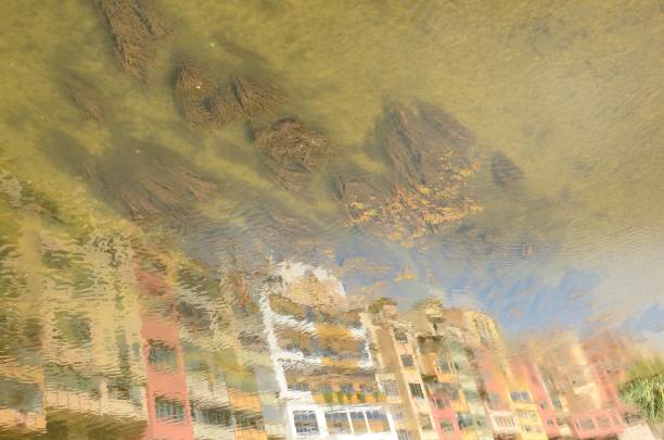 istock Reflections of facades and plants on river 1227591669
