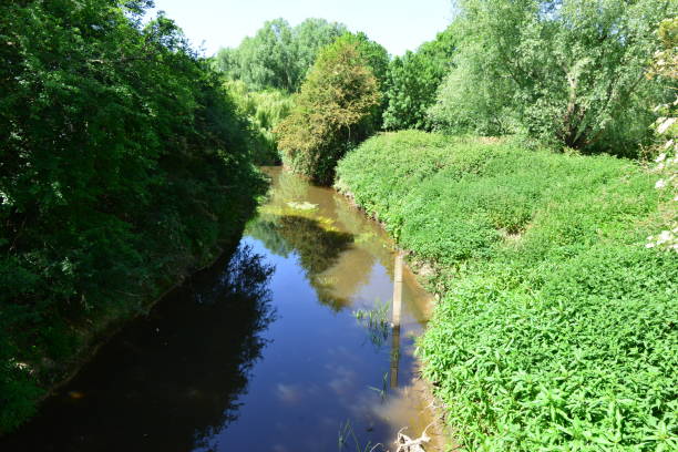 istock River Mole in May in Horley in Surrey. 1227592823