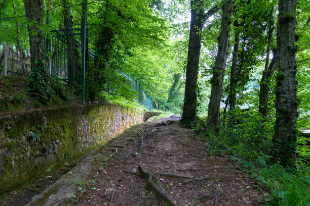 istock Old Barrage in Belgrad Forest, Istanbul, Turkey 1227593529