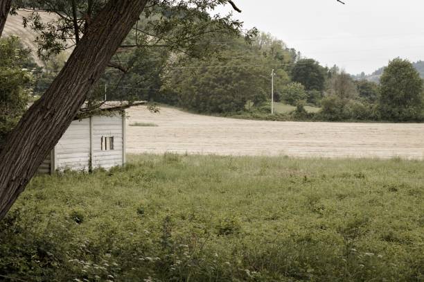 istock Abandoned hut in the italian countryside (Pesaro, Italy, Europe) 1227595641