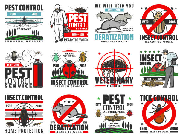 ilustrações de stock, clip art, desenhos animados e ícones de insects pest control, deratization, extermination - locust invasion