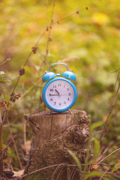 istock Vintage alarm clock in autumn forest. fall time. 1227599254