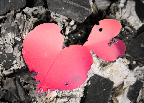 istock burned Red paper heart on ashes paper pages 1227599425