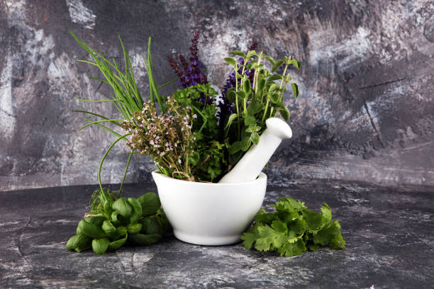 istock Fresh herbs lay on a rustic background with mortar and pestle. Basil, flower sage, thyme, oregano, dill, chives, parsley and coriander. 1227601218