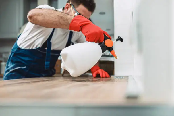 Professional worker in protective workwear using sprayer for disinfection and disease control. Covid-19 and coronavirus pandemic concept.