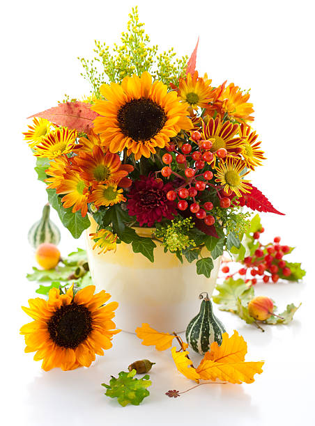 istock Autumnal flowers 122760412