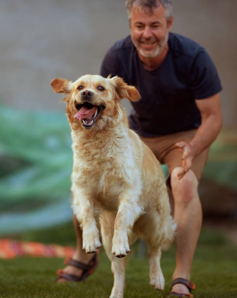 istock Father and daughter playing with golden retriever 1227609235