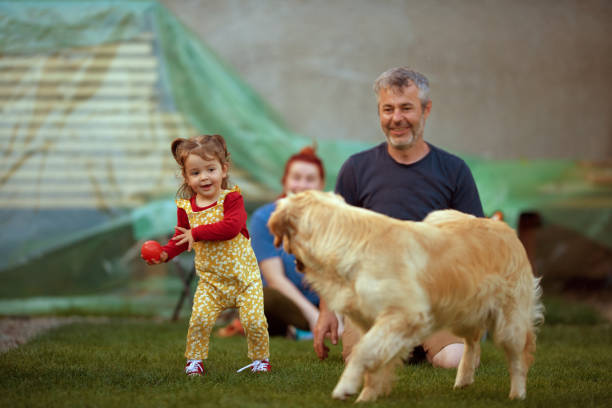 belle et heureuse famille! - dog baby t shirt child photos et images de collection