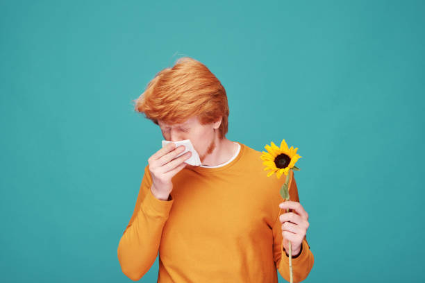 istock Young allergic man with sunflower blowing nose into paper tissue in isolation 1227610044