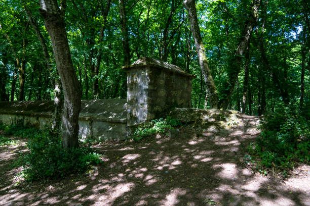 istock Old Barrage in Belgrad Forest  Istanbul  Turkey 1227611477
