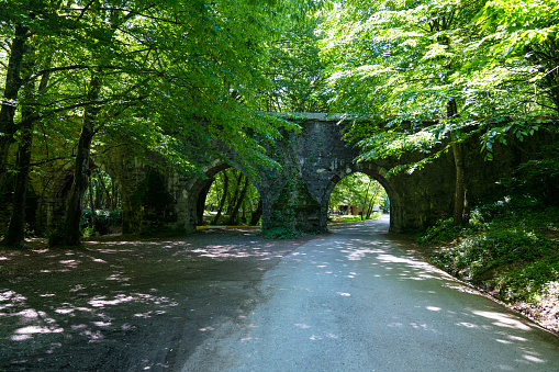 Ayvad Bend, Reservoir, Dam, Belgrade Forest , Istanbul-Turkey