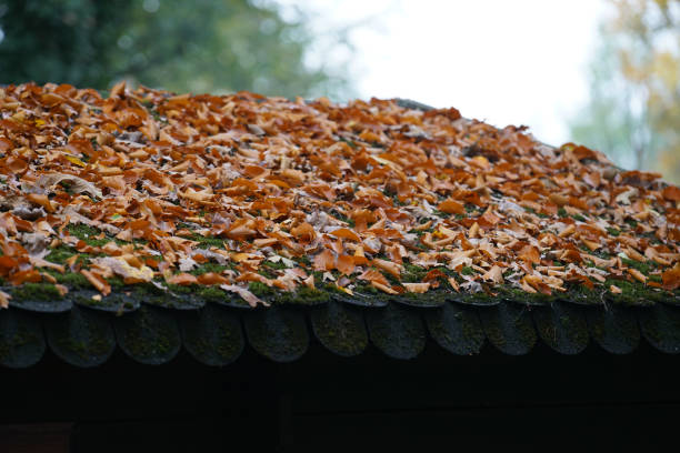 istock Roofing with different materials is overgrown with moss and other plants 1227613597