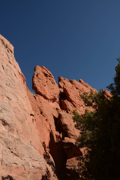 istock Autumn in Colorado 1227613637