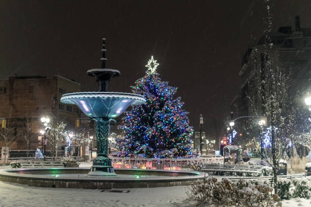 istock Hamilton, Ontario - Christmas Tree at Gore Park during Christmas 1227615091
