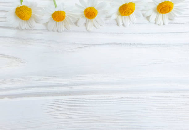 Small wooden fence, decoration