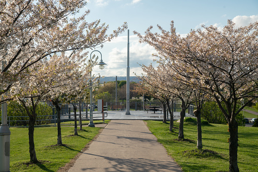 Hamilton, Ontario - Bayfront Park in Spring
