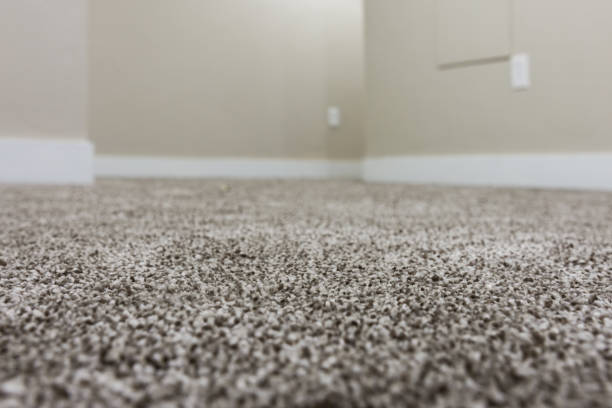 Brand new grey carpet