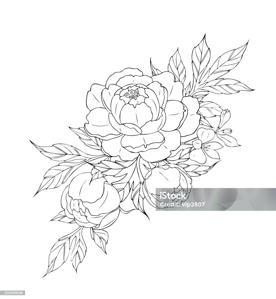 Ilustración de Flores Y Hojas De Peonía Composiciones De Tatuajes Ilustración Lineal Negra Aislada Sobre Un Fondo Blanco y más Vectores Libres de Derechos de Peonía - iStock Ilustración de Flores Y Hojas De Peonía Composiciones De Tatuajes Ilustración Lineal Negra Aislada Sobre Un Fondo Blanco y más Vectores Libres de Derechos de Peonía - iStock