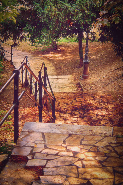 Autumn staircase with green trees and yellow leaves fallen on the ground in a city park.