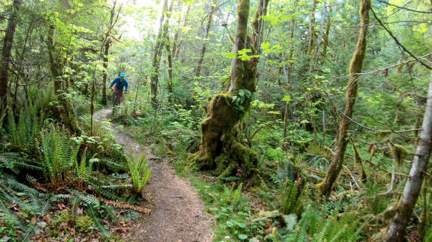 istock Mountain biker rides along forested path on an electric mountain bike 1227624848