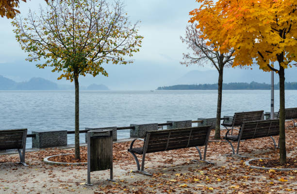 autumn alps mountain lake mondsee view, salzkammergut, upper austria. - seepromenade imagens e fotografias de stock