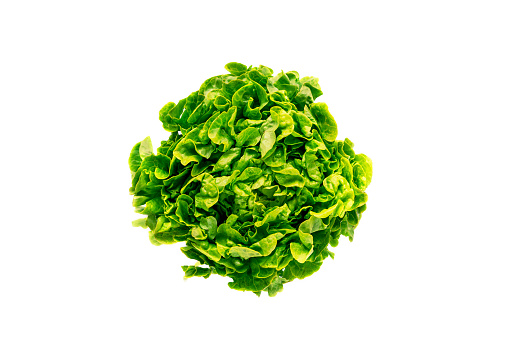 Green lettuce leaves isolated on white background. Healthy food, vegan. Top view