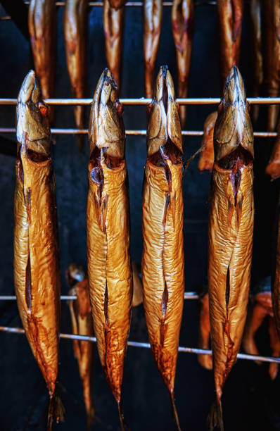 훈제 고등어를 훈제하여 건강한 음식으로 훈제합니다. 스콤버 스콤루스. - trout prepared fish whole grilled 뉴스 사진 이미지