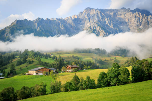 istock Austrian typical buildings in countryside 1227630594