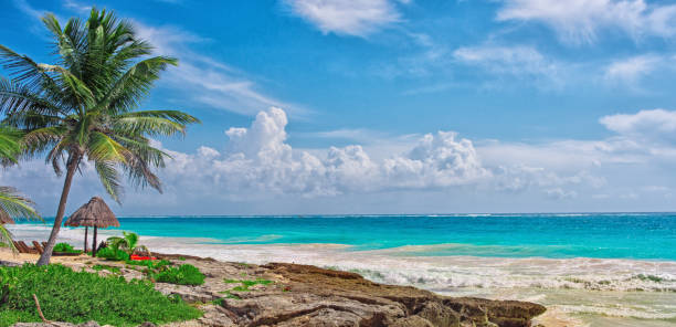 istock Tropical beach in caribbean sea. Yucatan, Mexico. 1227633608