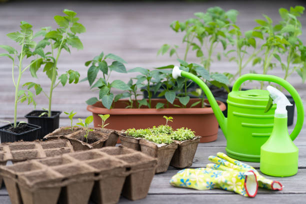 istock In the garden 1227636079