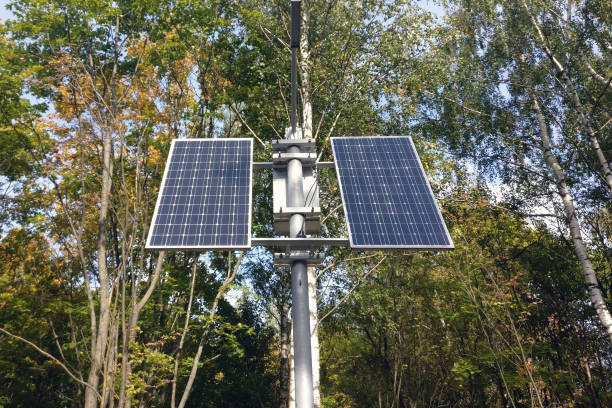 istock Solar battery on a pillar in the forest on a background of trees 1227636360