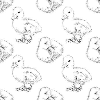 Duckling Seamless Background  - Pen and Ink Vector EPS10 Illustration