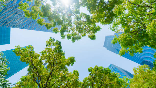透視外装パターン青いガラス壁緑の木の葉と近代的な建物 - built structure business building exterior glass ストックフォトと画像