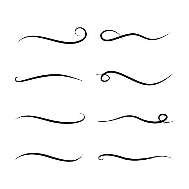 Curly swishes, swashes, swoops. Calligraphy swirl. Text elements Curly swishes, swashes, swoops. Calligraphy swirl Text elements vector swashbuckler stock illustrations