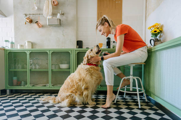 istock Our morning in the kitchen 1227645623