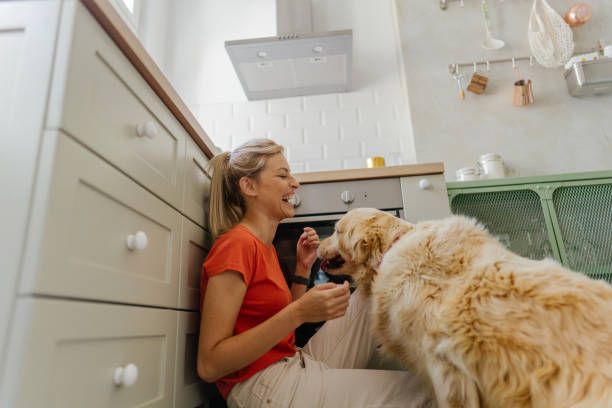 istock Our morning in the kitchen 1227645635