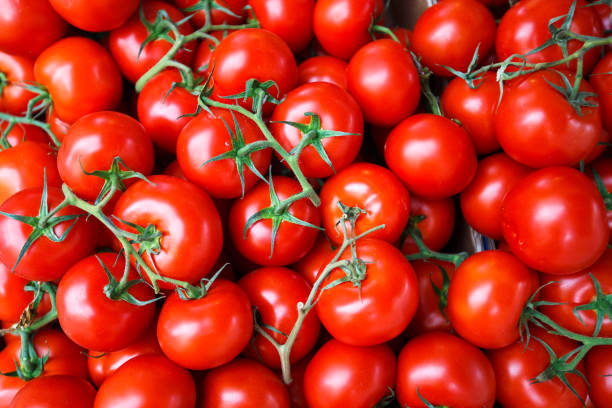 istock red tomatoes background Group of tomatoes 1227645684