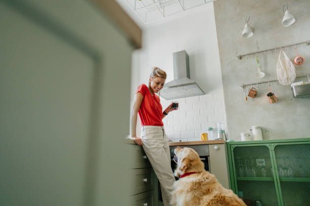 istock Morning coffee with my pet 1227646257