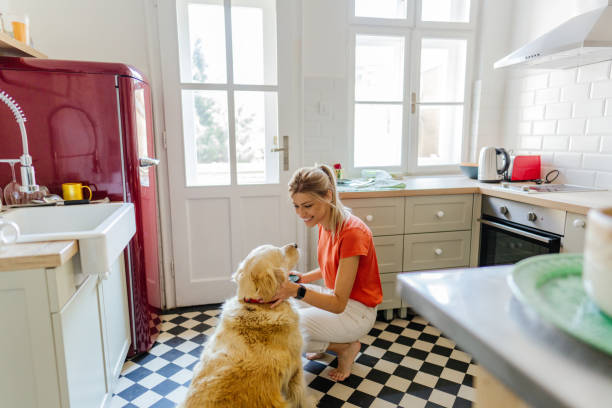 istock Our morning in the kitchen 1227646468