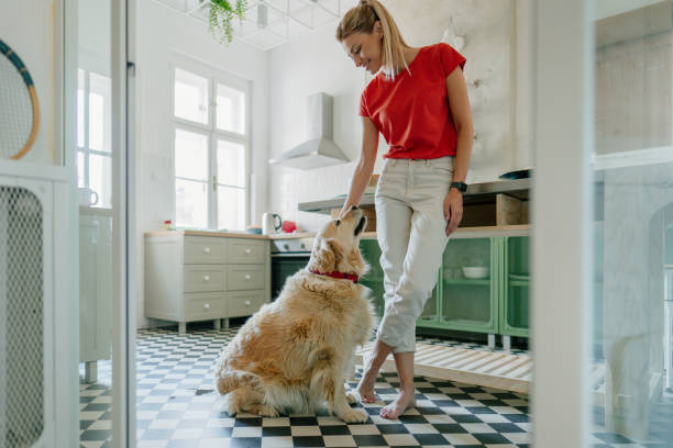 istock Our morning in the kitchen 1227646479