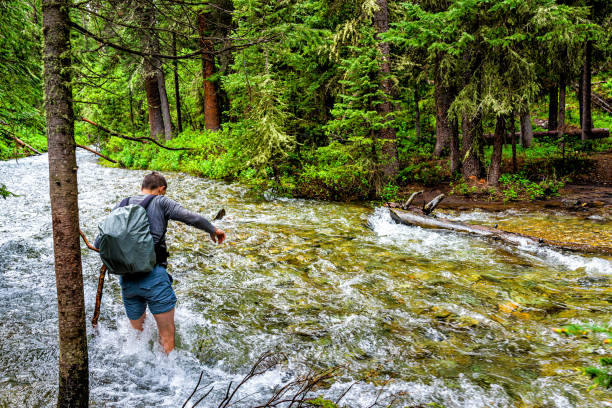 hombre cruzando el río vading en conundrum creek trail en aspen, colorado en 2019 verano en bosques con fuerte corriente y aguas profundas - deep creek area fotografías e imágenes de stock