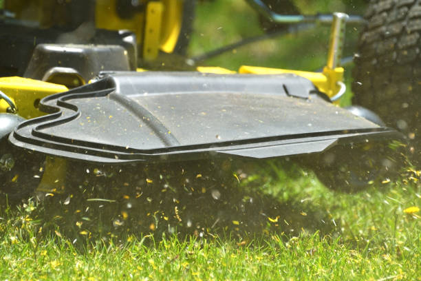istock Grass Particles Being Discharged From a Lawn Mower Close Up 1227650958