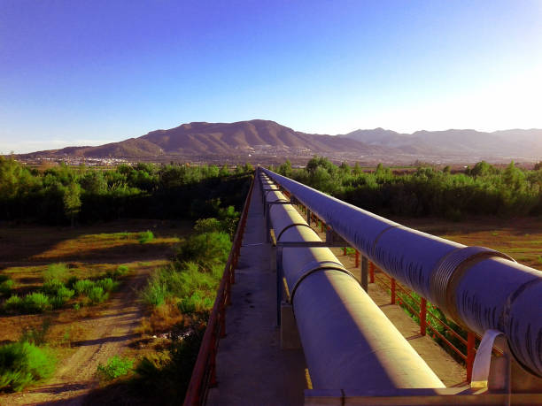 campo com tubos de cobre fora em um belo campo cheio de vegetação e luz solar - pipeline gas pipe pipe natural gas - fotografias e filmes do acervo