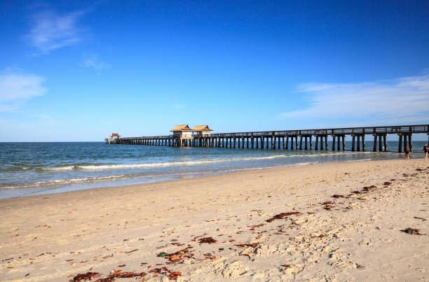 istock Empty Naples Pier after it was closed off due to the Covid 19 virus 1227675011