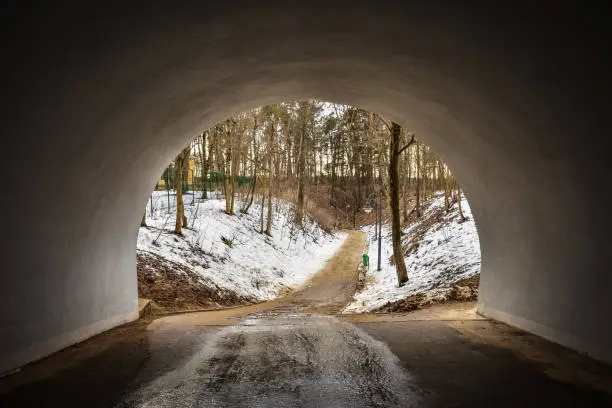 Photo of path through tunnel to forest, path to forest, tunnel to lns