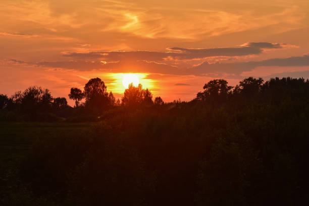 istock orange sunset over forest park, orange sky 1227716402