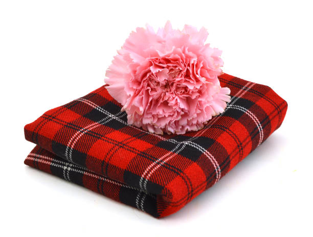 istock linen kitchen towel and carnation flower on a white background 1227781530