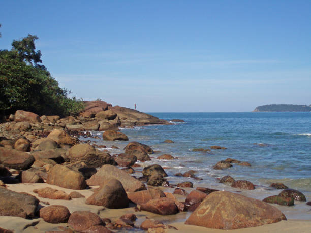 istock Brazilian Rocky Beach 1227803167