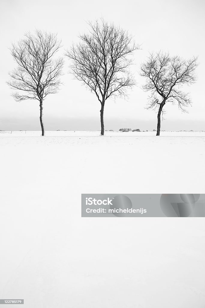 Trois arbres nus dans le paysage de neige, noir et blanc - Photo de Arbre libre de droits