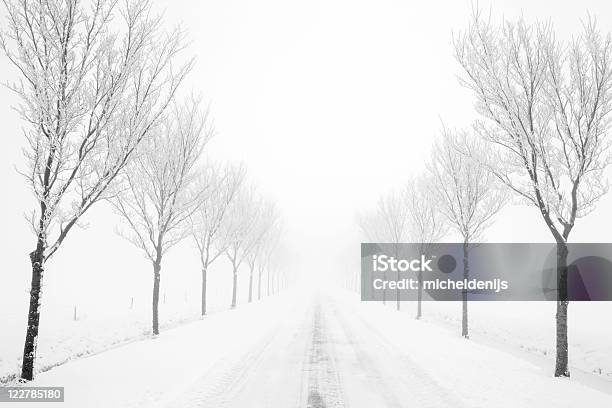 Schwarze Und Weiße Ländliche Straße Mit Bäumen Im Winternebel Stockfoto und mehr Bilder von Baum